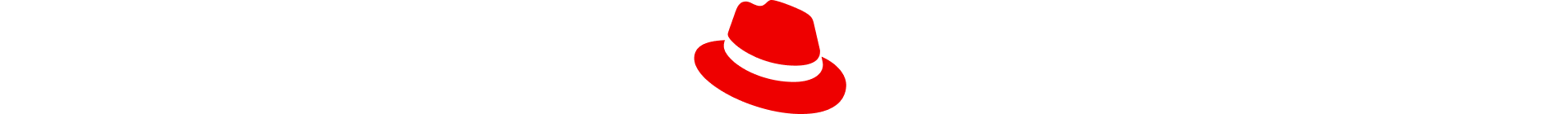 2025 Red Hat